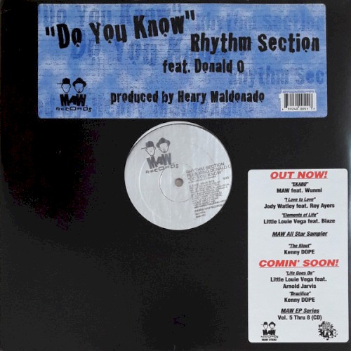 Do You Know by Rhythm Section