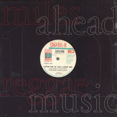 Love Me If You Love Me / Foundation From Birth by Terror Fabulous, Louie Culture