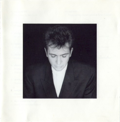 Shaking The Tree (Sixteen Golden Greats) by Peter Gabriel physical vinyl pressing cover artwork on VinVibe