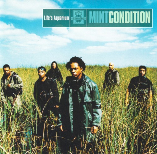 Life's Aquarium by Mint Condition