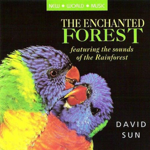 The Enchanted Forest by David Sun