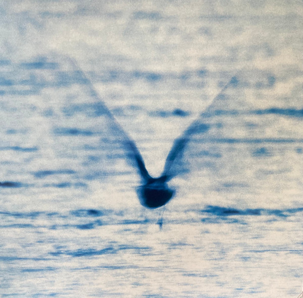 Mellow Dream by Ryo Fukui