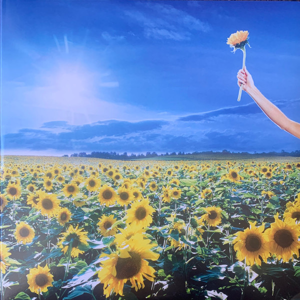Stone Temple Pilots vinyl record cover artwork on VinVibe