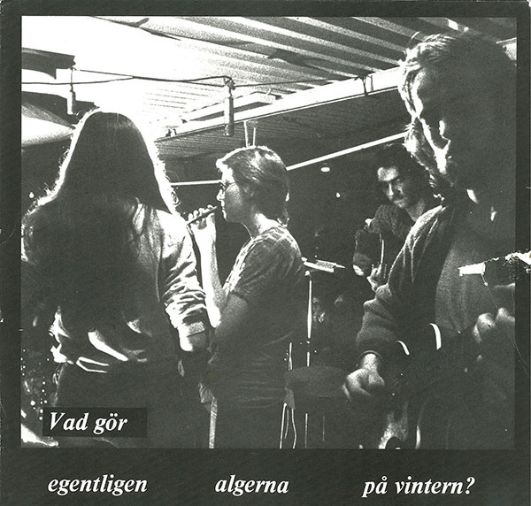 Vad Gör Egentligen Algerna På Vintern? by Various