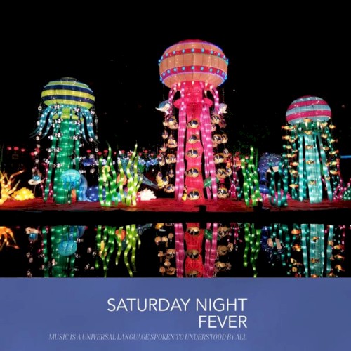 Saturday Night Fever by Various
