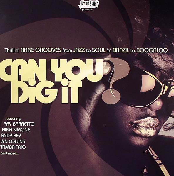 Can You Dig It? (Thrillin' Rare Grooves from Jazz to Soul 'n' Brazil to Boogaloo) by Various