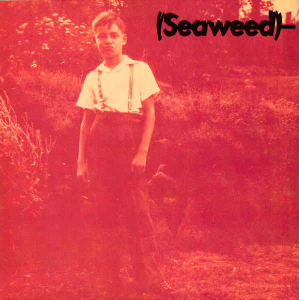 Bill by Seaweed