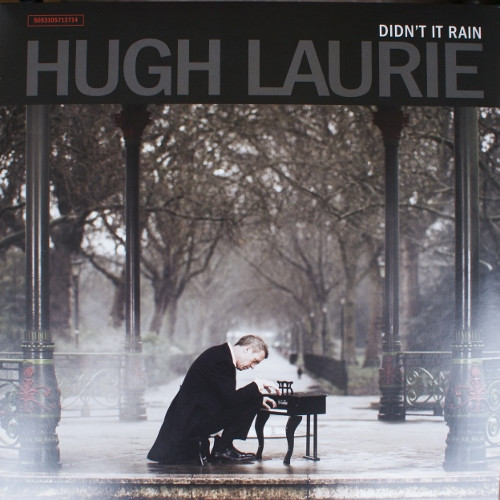 Didn't It Rain by Hugh Laurie