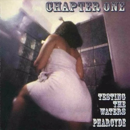Testing The Waters by The Pharcyde