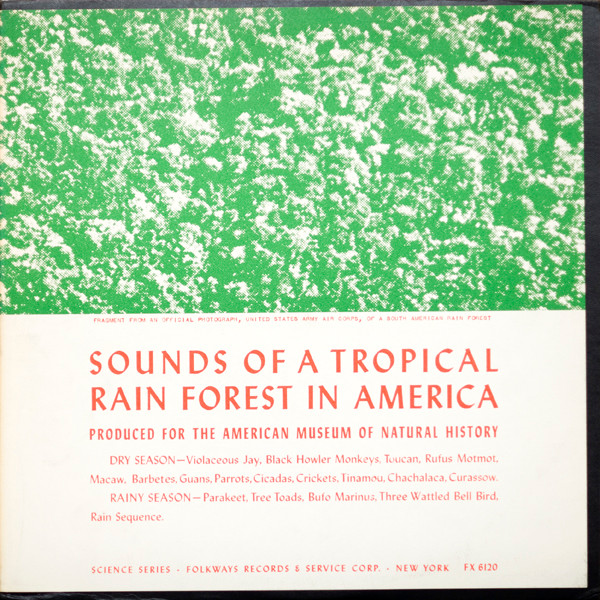 Sounds Of A Tropical Rain Forest In America by No Artist
