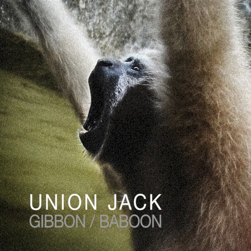 Gibbon / Baboon by Union Jack