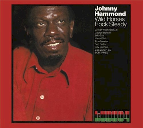 Johnny Hammond vinyl record cover artwork on VinVibe