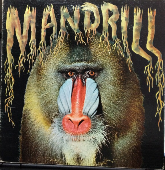 Mandrill by Mandrill