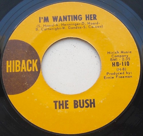 I’m Wanting Her / Who Killed The Ice Cream Man? by The Bush