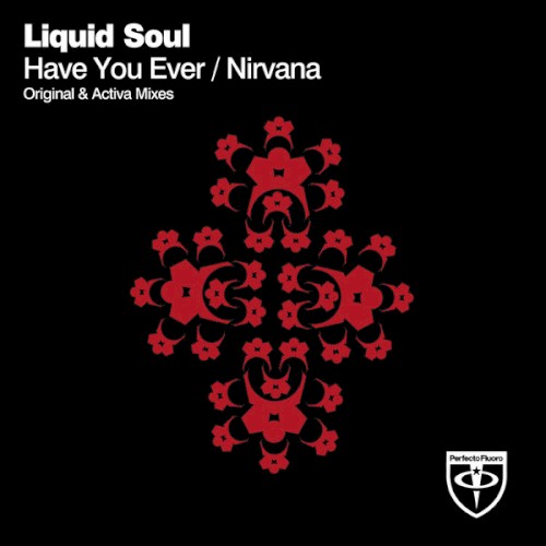 Have You Ever / Nirvana by Liquid Soul