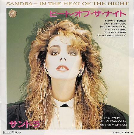In The Heat Of The Night by Sandra