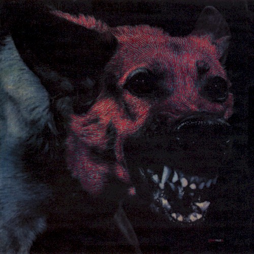 Under Color Of Official Right by Protomartyr