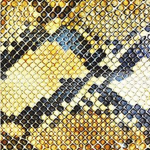 Amphetamine Ballads by The Amazing Snakeheads