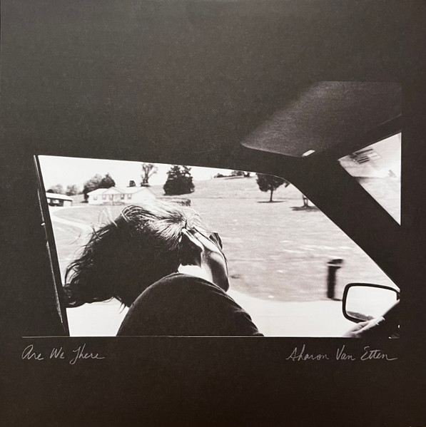 Are We There by Sharon Van Etten