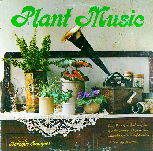 Plant Music by Baroque Bouquet