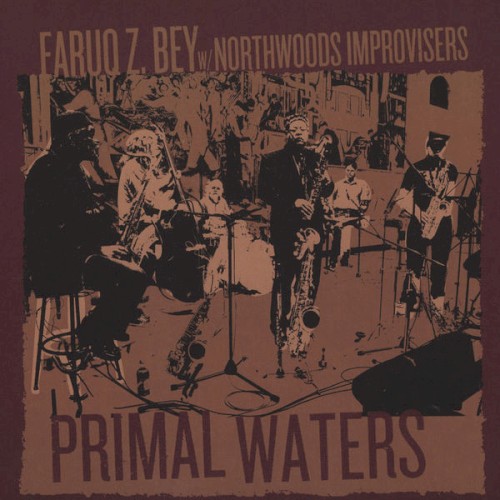Primal Waters by Faruq Z. Bey