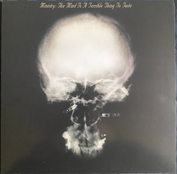 The Mind Is A Terrible Thing To Taste by Ministry