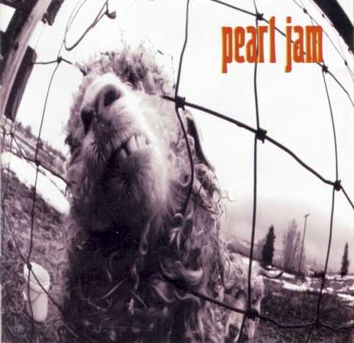 Vs. by Pearl Jam