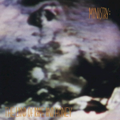 The Land Of Rape And Honey by Ministry
