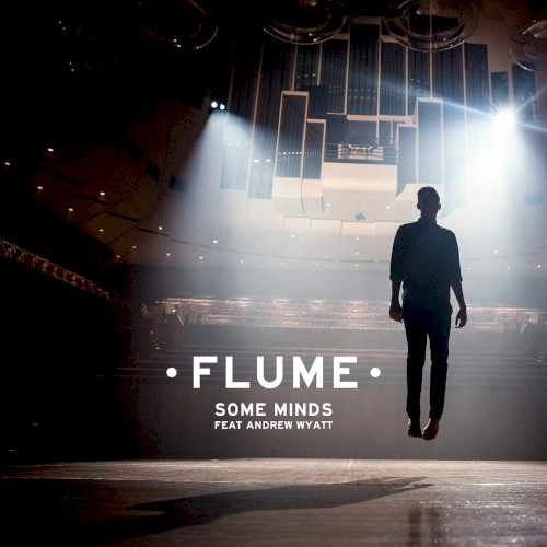 Some Minds by Flume