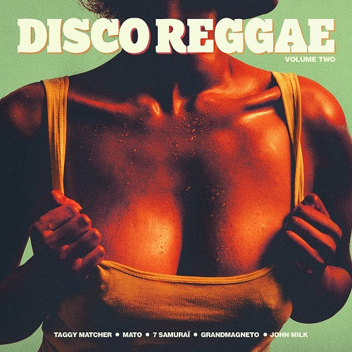 Disco Reggae Volume Two by Various
