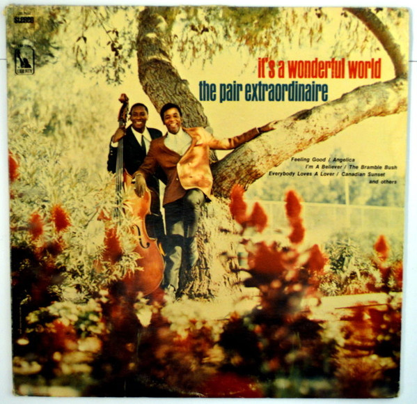 It's A Wonderful World by The Pair Extraordinaire