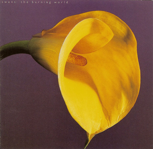 The Burning World by Swans