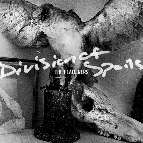 Division Of Spoils by The Flatliners
