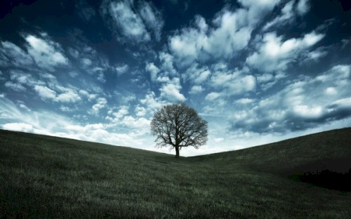 Life by Tom Day