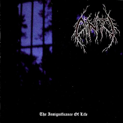 The Insignificance Of Life by Anti