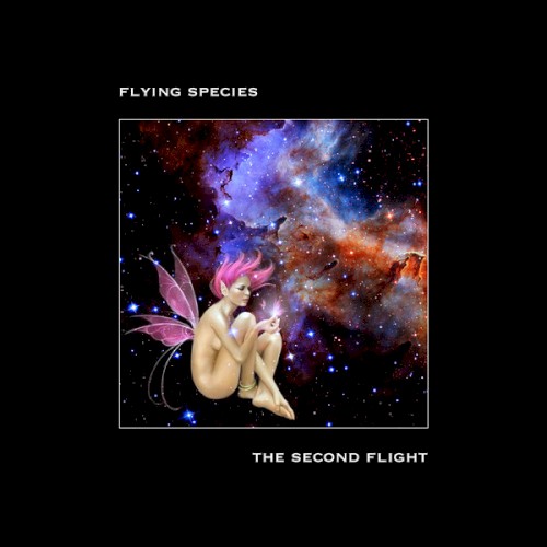The Second Flight by Flying Species