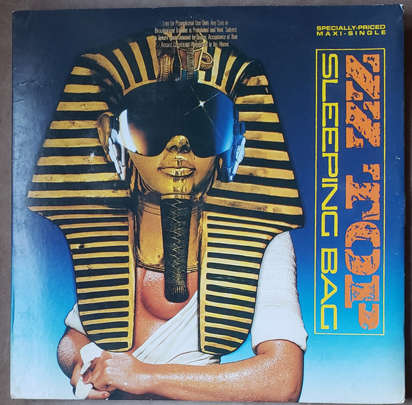 Sleeping Bag by ZZ Top physical vinyl pressing cover artwork on VinVibe