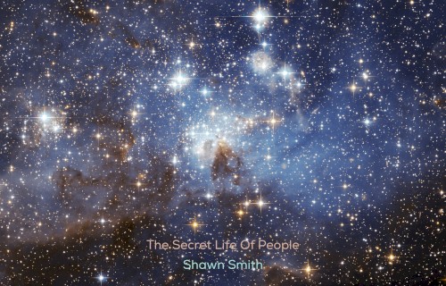 Life by Shawn Smith