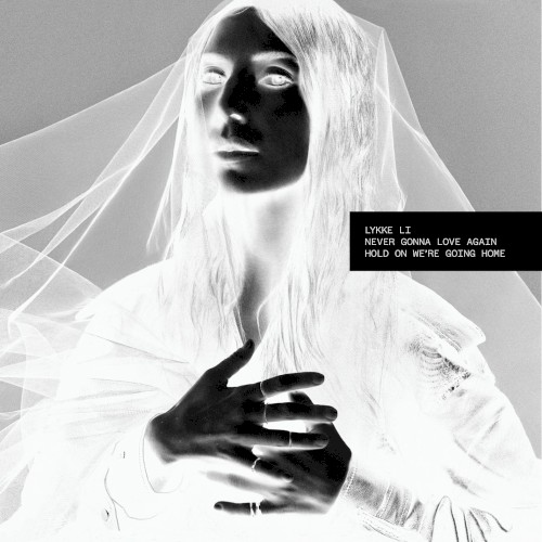 Never Gonna Love Again by Lykke Li