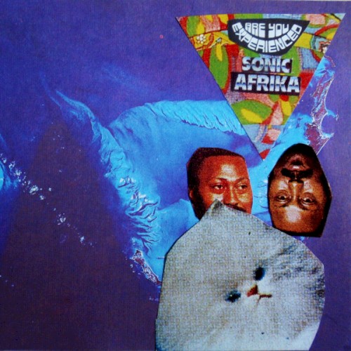 Are You Experienced Sonic Afrika? by Afrika Pseudobruitismus