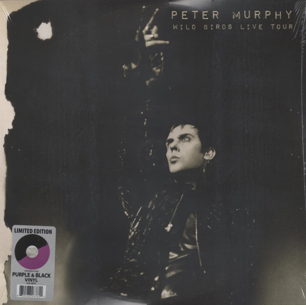 Wild Birds Live Tour by Peter Murphy