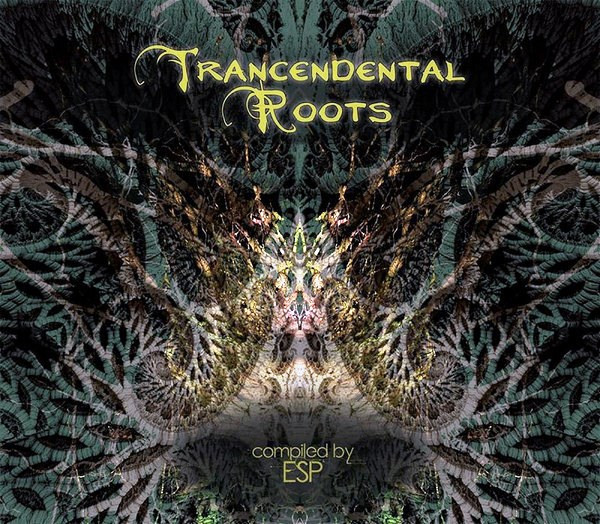 Transcendental Roots by Various
