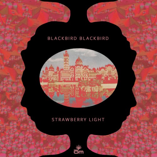 Strawberry Light by Blackbird Blackbird