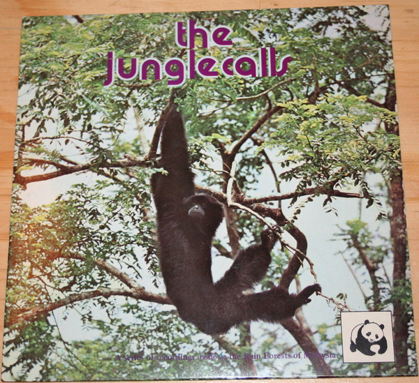 The Jungle Calls by Ken Scriven