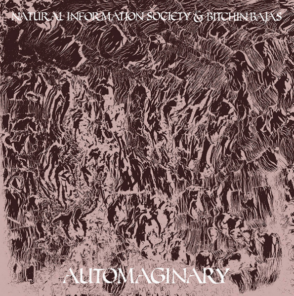 Automaginary by Joshua Abrams Natural Information Society