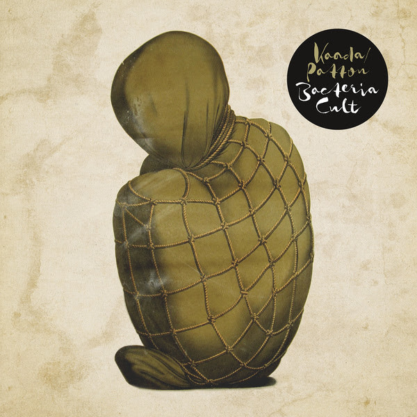 Bacteria Cult by Kaada