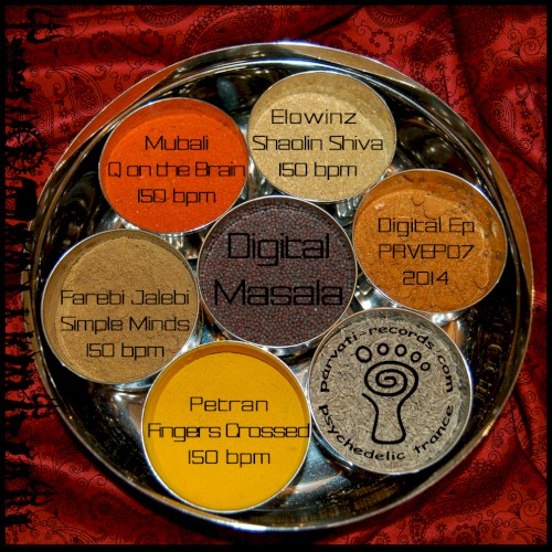 Digital Masala by Various