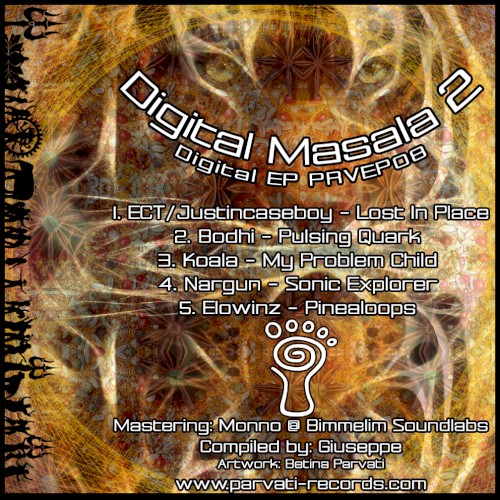 Digital Masala 2 by Various